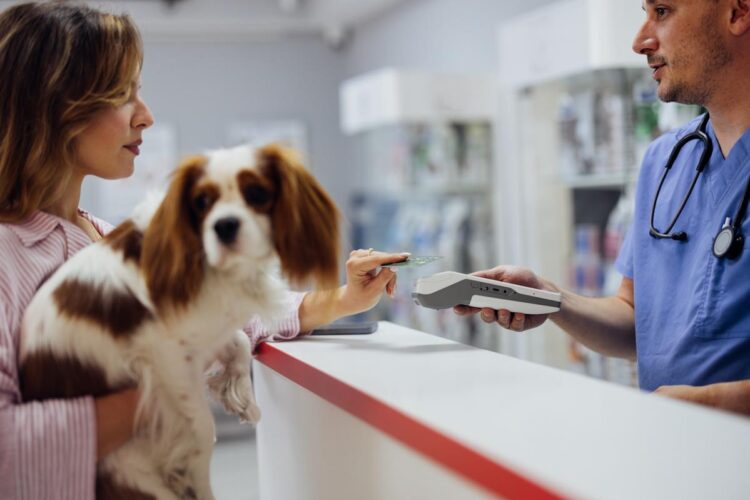 Pet insurance coverage that pays the vet instantly: How does it work?