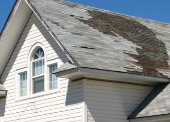 Shield Your Funding and Forestall Insurance coverage Claims