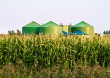 The Little-Recognized Credit score Holding Up the Clear Gas Market