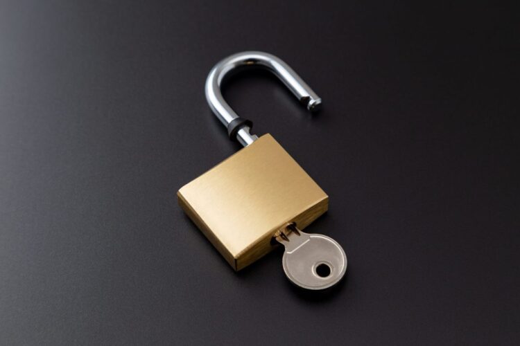 Non-public Fairness Returns With out the Lockups