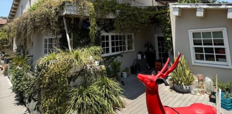 Comic Zvika Hadar promoting Tel Aviv house for NIS 16.5m