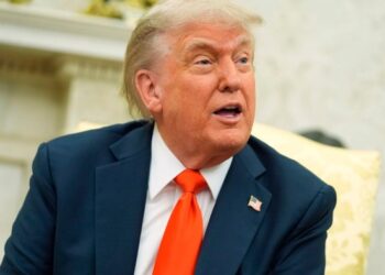 Donald Trump assaults ‘loopy’ Elon Musk as relationship implodes