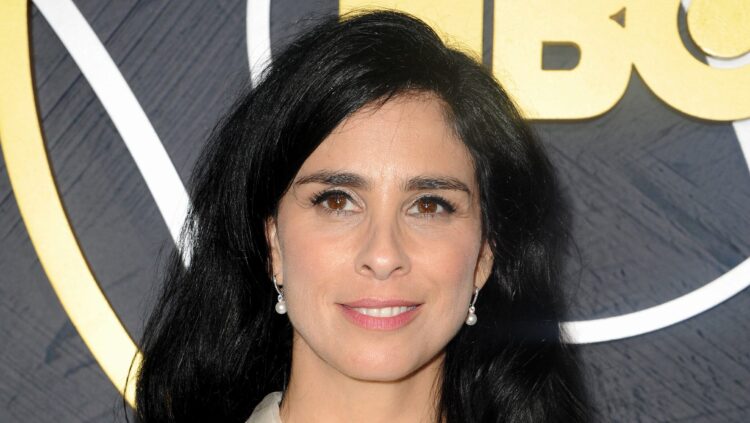 Courtroom shoots down Sarah Silverman’s case towards Meta’s AI – however declares utilizing copyrighted works for coaching is NOT ‘honest use’