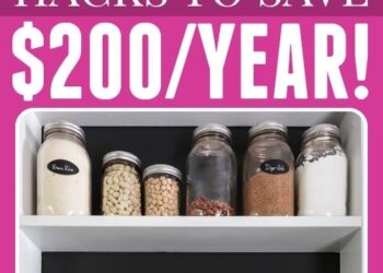 5 Price range-Pleasant Group Hacks That Reduce Family Bills by $200+ Per 12 months