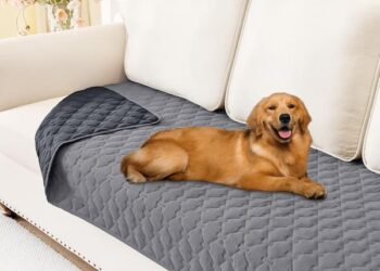 Waterproof Protecting Sofa Cowl solely $6.99!