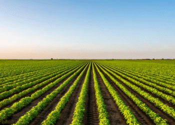 US Agriculture division to surrender to $30 million to insurance coverage suppliers