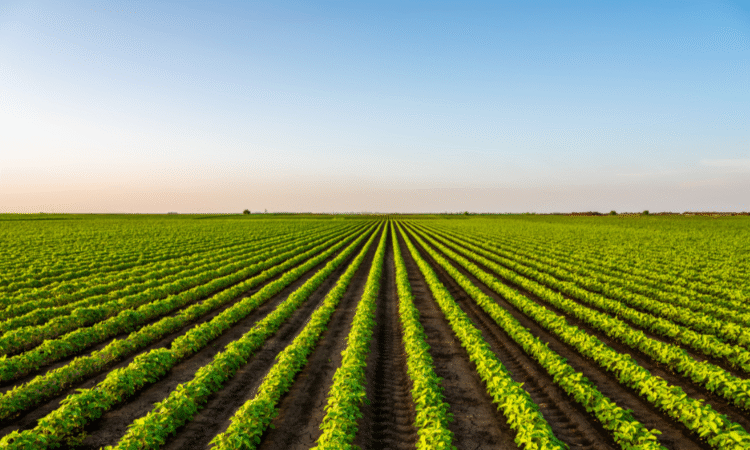 US Agriculture division to surrender to $30 million to insurance coverage suppliers