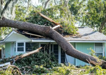 Are insurers holding sufficient reserves? What current traits reveal