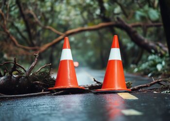 East Fork Pottery sues Vacationers over denied hurricane enterprise interruption declare