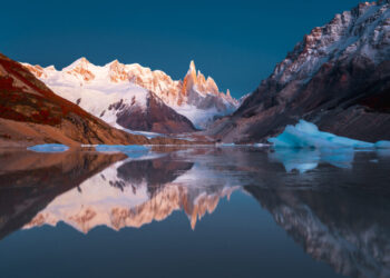 Rights With out Energy: Why the Put Bond Failed