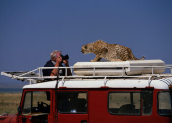 Stablecoins and Treasuries: A Fragile Funding Hyperlink Traders Can’t Ignore