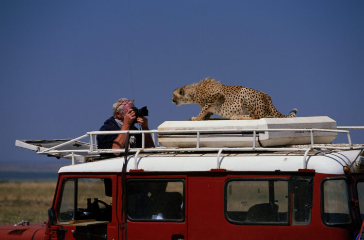 Stablecoins and Treasuries: A Fragile Funding Hyperlink Traders Can’t Ignore