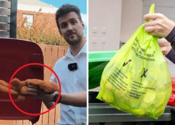 Council’s warning over grotesque inexperienced bin development