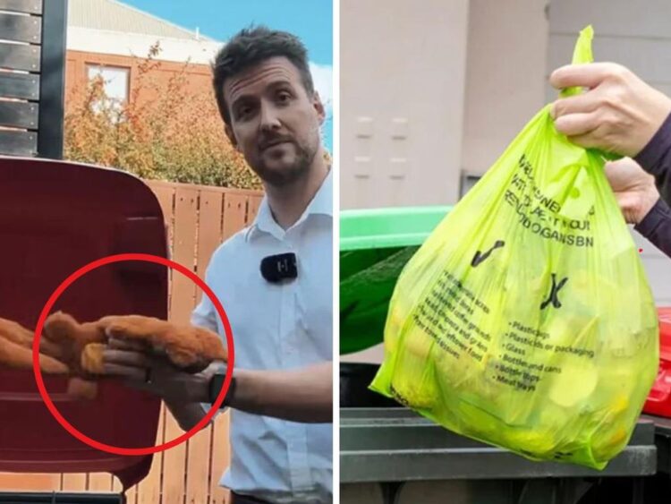 Council’s warning over grotesque inexperienced bin development