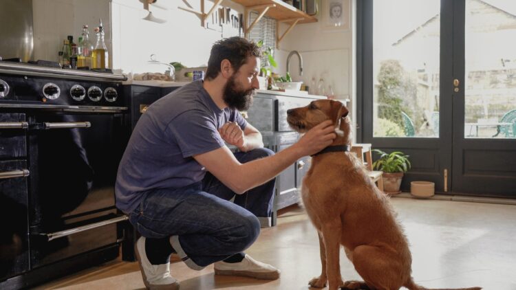 Individuals’ Properties Are Shrinking—however Their Canines Aren’t