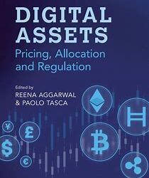 E-book Assessment: Digital Property: Pricing, Allocation and Regulation