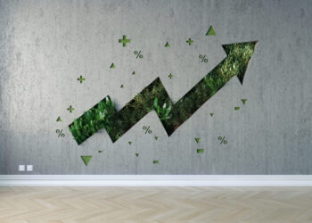 Hiding in Plain Sight: Accounting for Capex