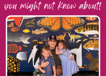 Homeschool Reductions You May Not Know About (However Completely Ought to!)