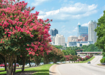 50 New Listings in Raleigh, September 3, 2025