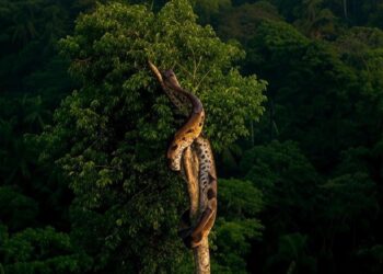 The Best Size Of Time To Maintain A Mortgage Till Paying It Off