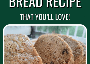 Our Favourite Zucchini Bread Recipe