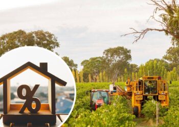 SA wine areas surge in worth: New information reveals high performers