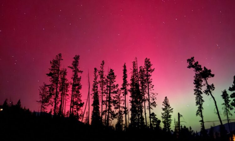 “Ooh it is so fairly!” | Insurance coverage Enterprise America