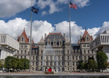 New York to launch real-time auto insurance coverage verification system