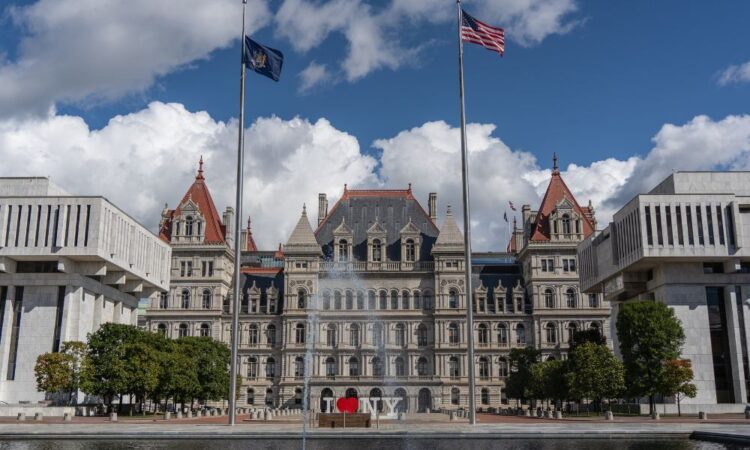 New York to launch real-time auto insurance coverage verification system