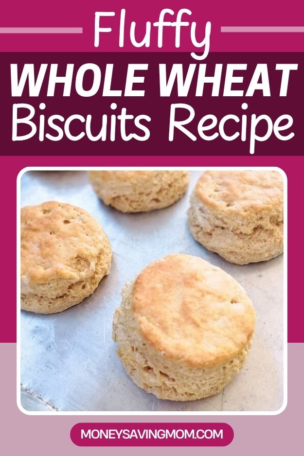 Fluffy Entire Wheat Biscuits Recipe