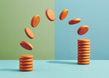 A Strategic Purchaser’s Information to PE Exits