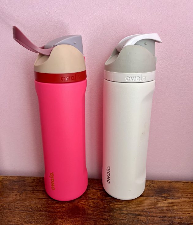 Free Owala Water Bottle at Dick’s Sporting Items after money again!