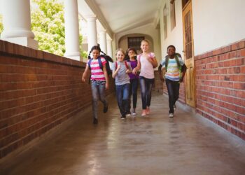 New Guidelines For Ok-12 and Profession Coaching