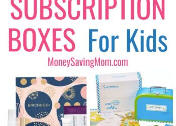 High 9 Finest Subscription Containers for Children