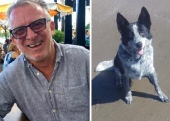 Posh suburb melts over Aussie pensioner’s lonely canine plea