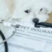 New Jersey passes pet insurance coverage act, mandates business compliance by 2027
