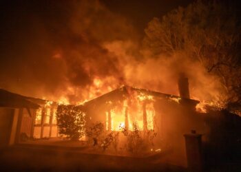 True Price of 2025 Los Angeles Wildfires Emerges a 12 months After the Catastrophe