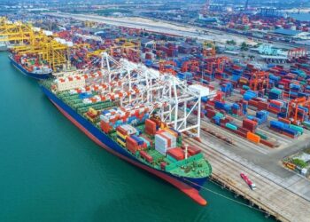 ‘India just isn’t so depending on US, has alternate options’: Ex RBI MPC member performs down commerce deal dangers