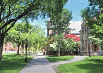 The Reality About Administrative Bloat At U.S. Schools