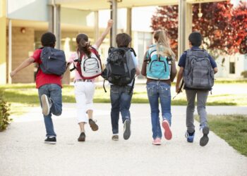 Schooling Freedom Tax Credit score: Who Qualifies and When