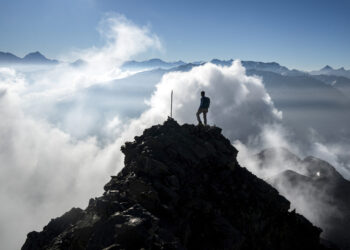 Analysis and Coverage Heart High 10 Publications from 2025