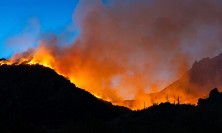 Washington Senate advances Kuderer wildfire danger rating disclosure invoice