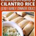 Baked Rooster Chimichangas and Cilantro Rice ($10 Household Dinner Concept)