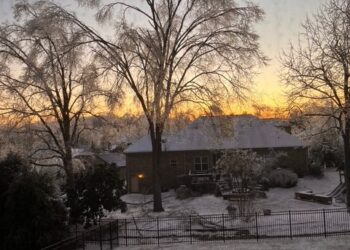 Week 5: A Peek Into This Previous Week + What I’m Studying, Listening to, and Watching!