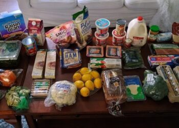 Brigette’s $104 Grocery Purchasing Journey and Weekly Menu Plan for 4!