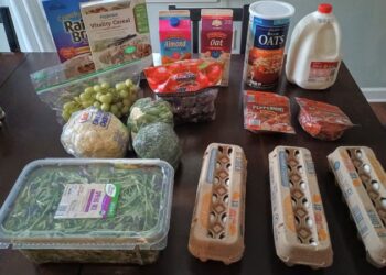 Brigette’s $69 Grocery Purchasing Journey and Weekly Menu Plan for 4!