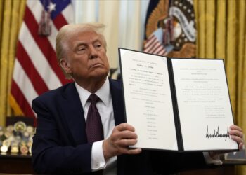 Trump Accounts: Guidelines, Limits, Use Instances and Eligibility