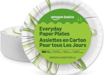 Amazon Fundamentals On a regular basis Disposable Paper Plates, 100 rely solely $4.77 shipped!