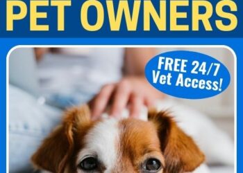Why Walmart+ Simply Grew to become Even Extra Helpful for Pet House owners (Free 24/7 Vet Entry Included with Pawp!)