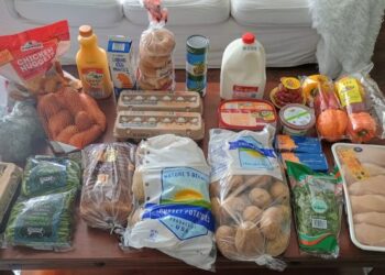 Brigette’s $89 Grocery Procuring Journey and Weekly Menu Plan for 4!